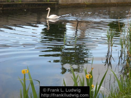 Grand Canal